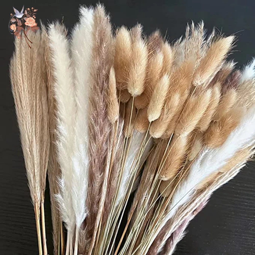 Natural Dried Pampas Grass Bouquet – Multiple Sets