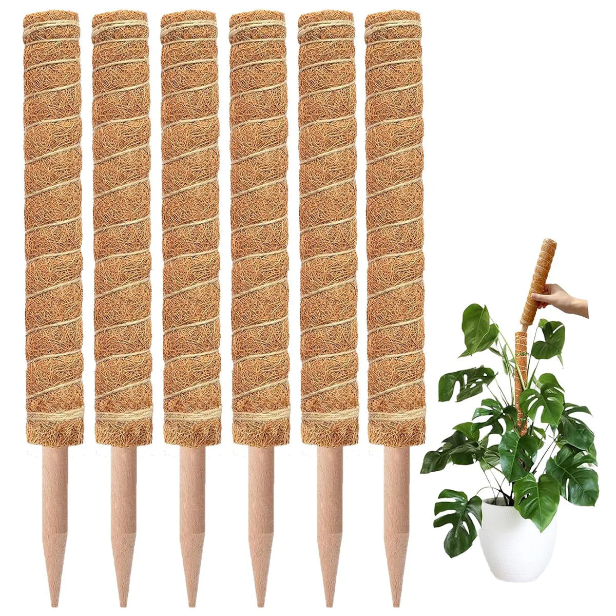 Cross-border Gardening Cocoanut Stick Green Pot Fixed Plant Climbing Cane Flower Support Cocoanut Climbing Cane Moss Rod 1pc