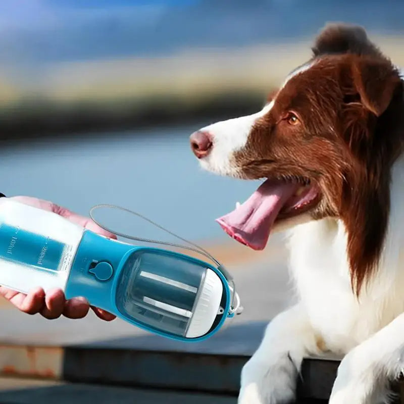 Blue portable dog water bottle presented next to a dog during an outdoor stop