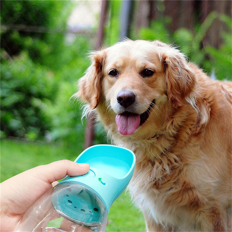 Dog beside a turquoise portable water bottle with integrated drinking cup