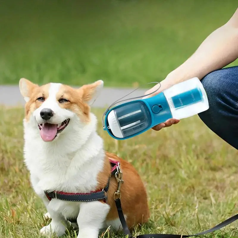 Blue portable dog water bottle held beside a corgi outdoors on grass