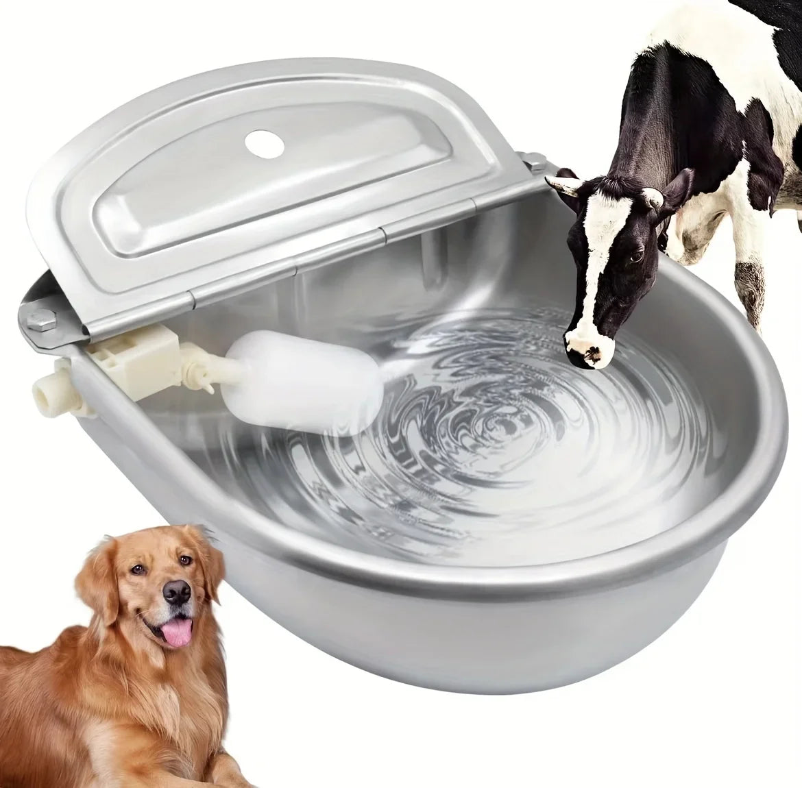 Gravity-Fed Outdoor Pet Waterer — Stainless Steel