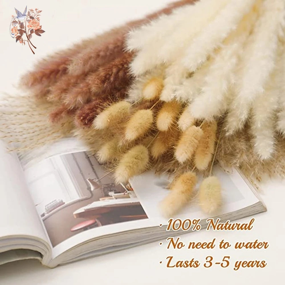 Natural Dried Pampas Grass Bouquet – Multiple Sets