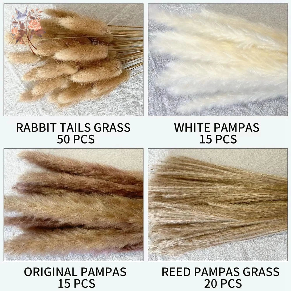 Natural Dried Pampas Grass Bouquet – Multiple Sets