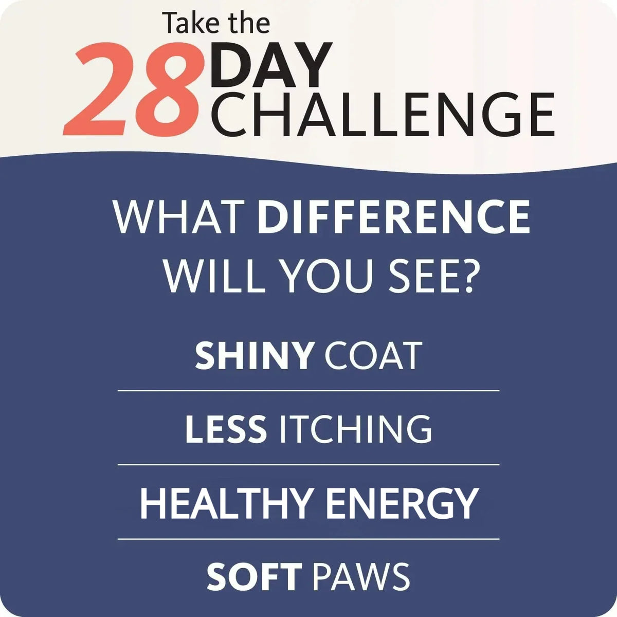 200ml Salmon Fish Oil for Dogs