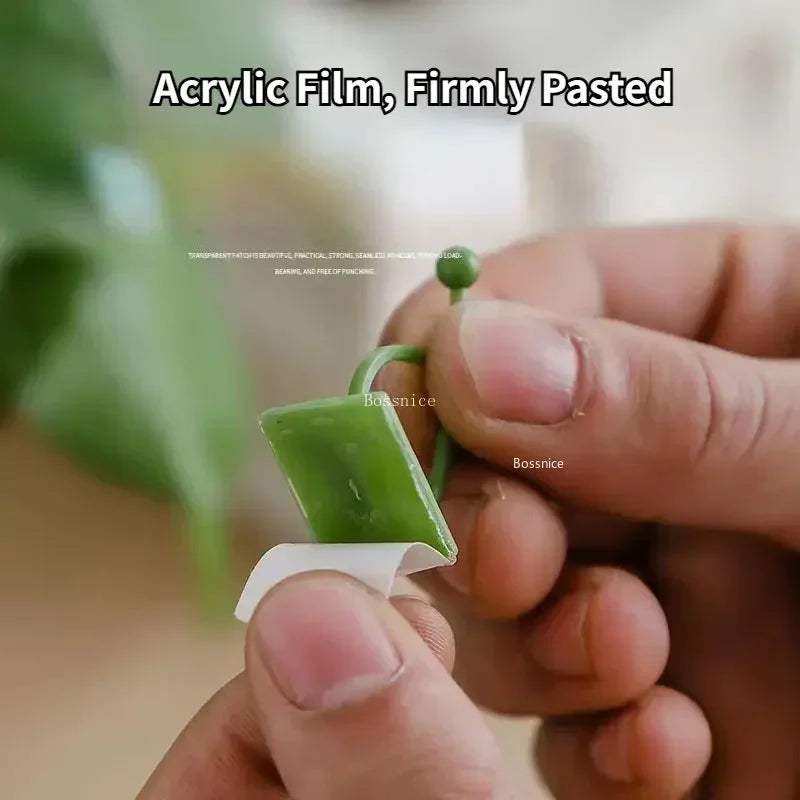 20Pcs Plant Climbing Wall Clips Vine Buckle Hook Rattan Clamp Fixator Self-Adhesive Plant Stent Invisible Vine Climbing Fixed