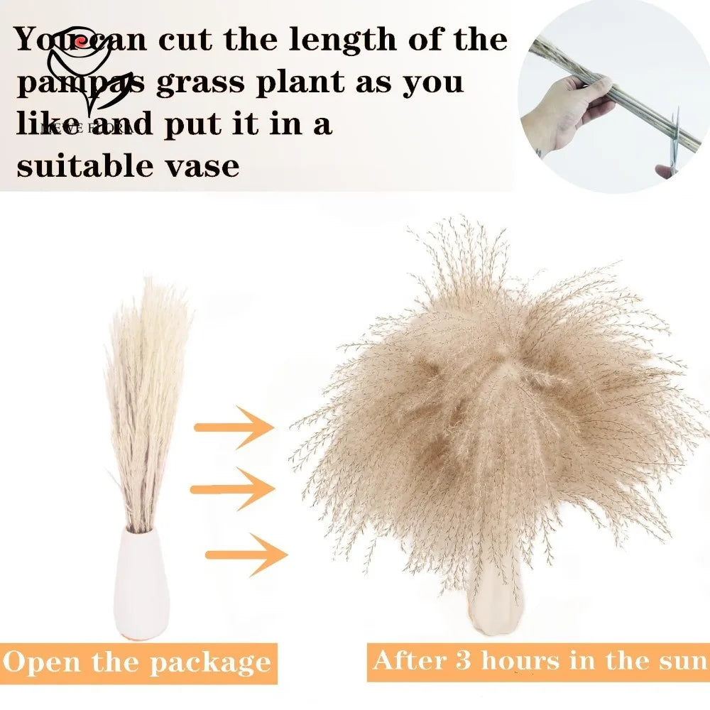 Dried Pampas & Bunny Tail Grass Bouquet – Multi-Piece Sets