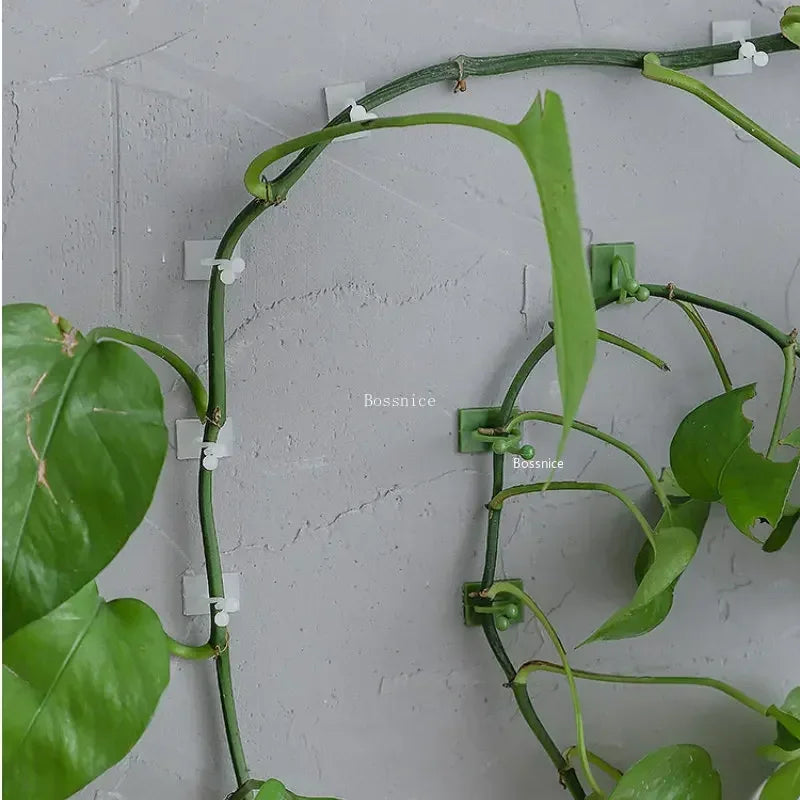 20Pcs Plant Climbing Wall Clips Vine Buckle Hook Rattan Clamp Fixator Self-Adhesive Plant Stent Invisible Vine Climbing Fixed