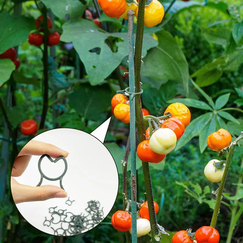 100/200pcs Plant Clips, 3 Size Clips For Attaching Plants, Garden Clips, Plant Support Clips, Climbing Plant Clips, Plant Clips