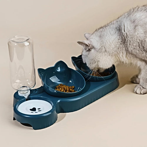 3-in-1 Tilted Pet Bowl Set — With Water Feeder