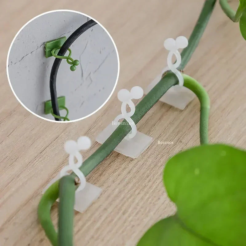 20Pcs Plant Climbing Wall Clips Vine Buckle Hook Rattan Clamp Fixator Self-Adhesive Plant Stent Invisible Vine Climbing Fixed