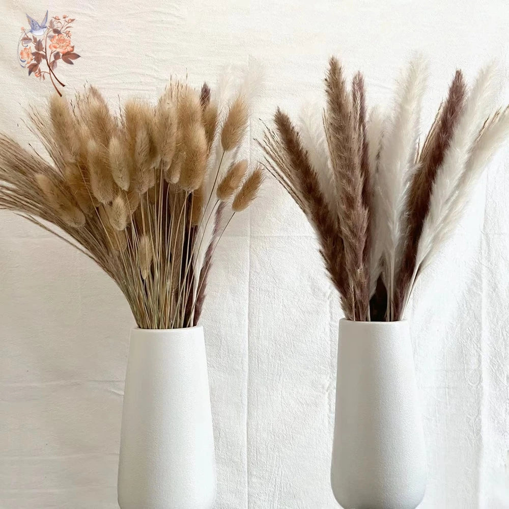 Natural Dried Pampas Grass Bouquet – Multiple Sets