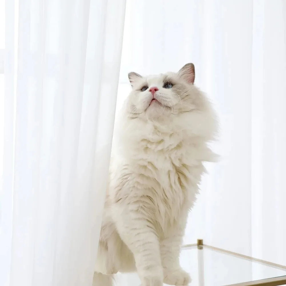 White Tulle Sheer Curtain Panel – Multiple Sizes