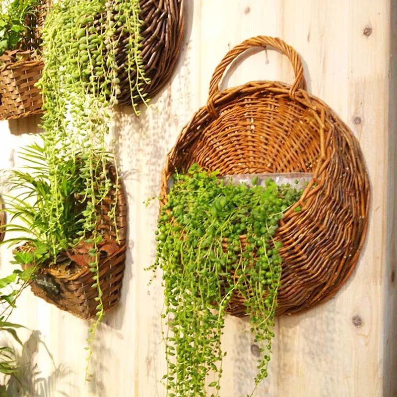 A pocket of green on the wall