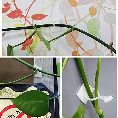 קליפסים דביקים לצמחים מטפסים – תמיכה לאורך הקיר