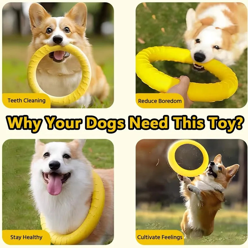 Dog Toys Pet Flying Discs EVA Dog Training Ring Puller Resistant Toys For Dogs Floating Puppy Bite Ring Toy Interactive