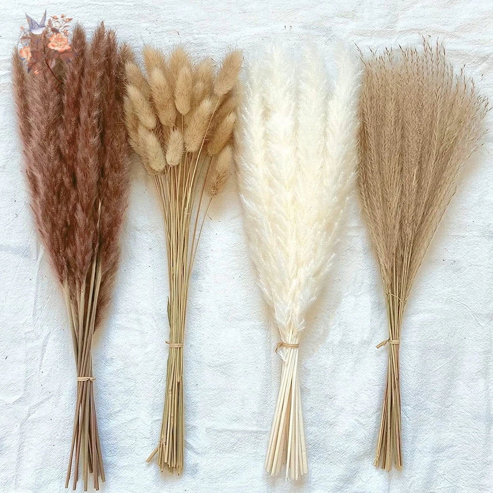Natural Dried Pampas Grass Bouquet – Multiple Sets