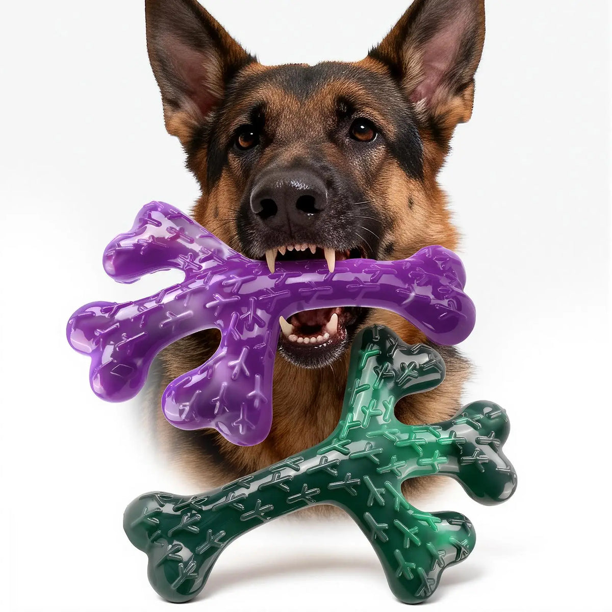 Nylon & Rubber Dog Chew Toy, 2 Options