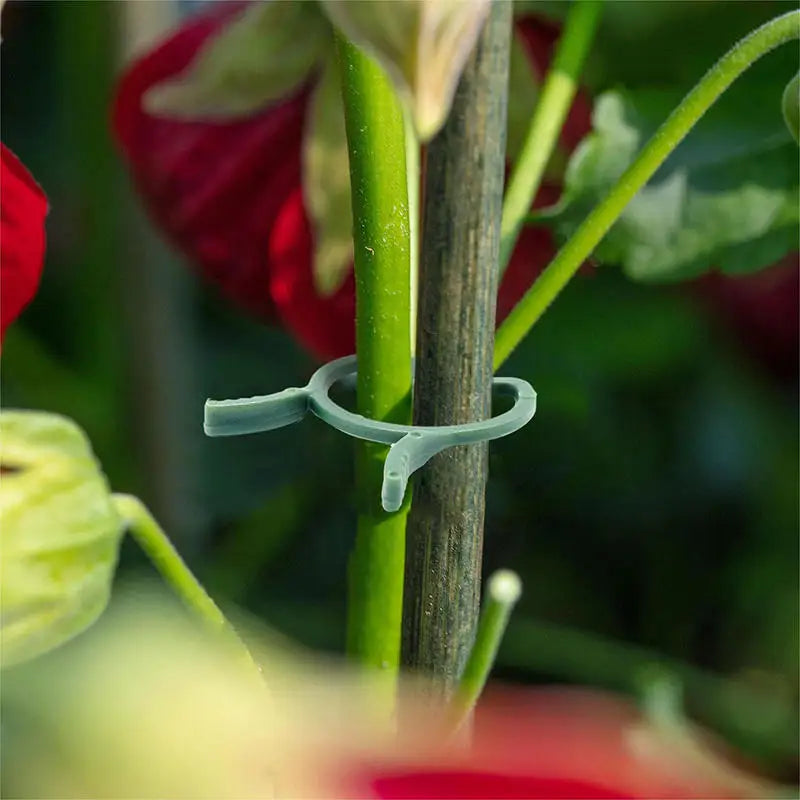 100/200pcs Plant Clips, 3 Size Clips For Attaching Plants, Garden Clips, Plant Support Clips, Climbing Plant Clips, Plant Clips