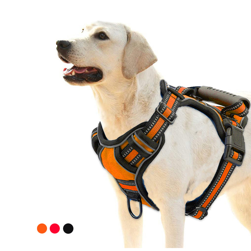 Dog wearing an orange and black chest harness on a white background